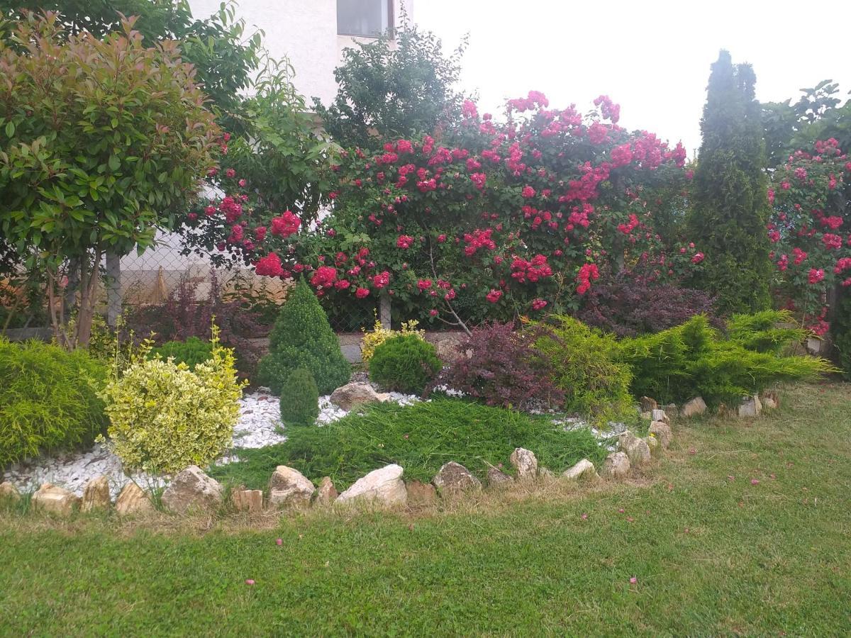 Villa Silva Ohrid Exterior photo